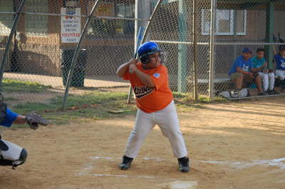 Oriole At Bat